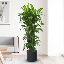 产品展示 (16)